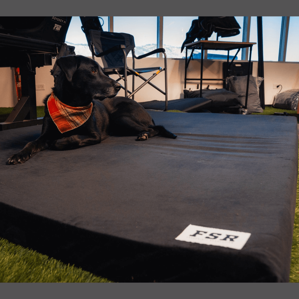 Adaptive Memory Foam Mattress - 3"