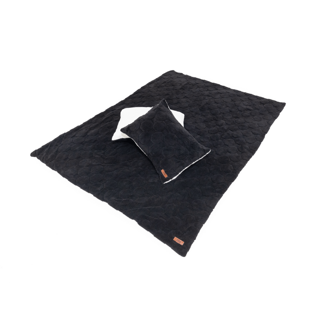 Cloud Comforter & Pillow Case Set