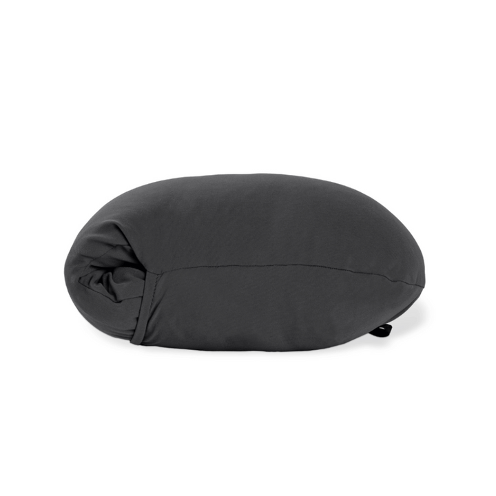 Pro Travel Pillow
